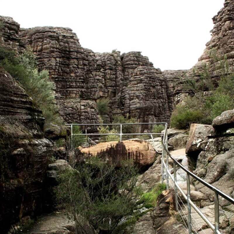 Rock Climbing + Hiking - Happy Wanderer