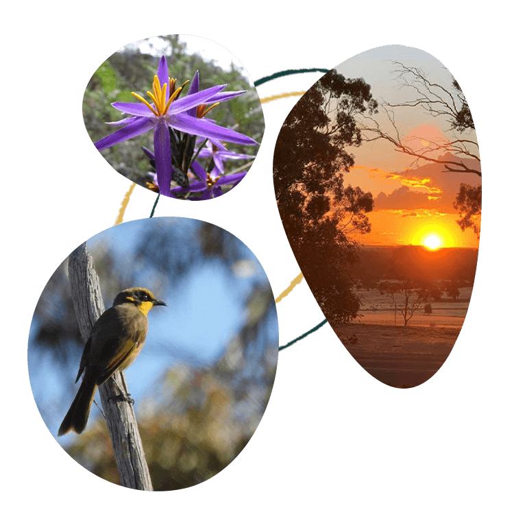 The Happy Wanderer Resort - The Grampians National Park