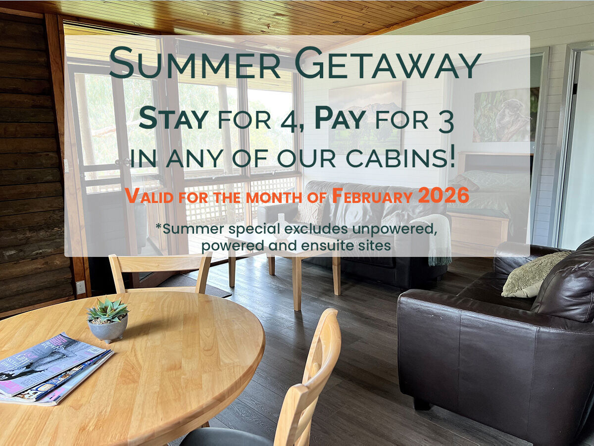 Summer Stay   Stay for 4 Pay for 3   All Cabins