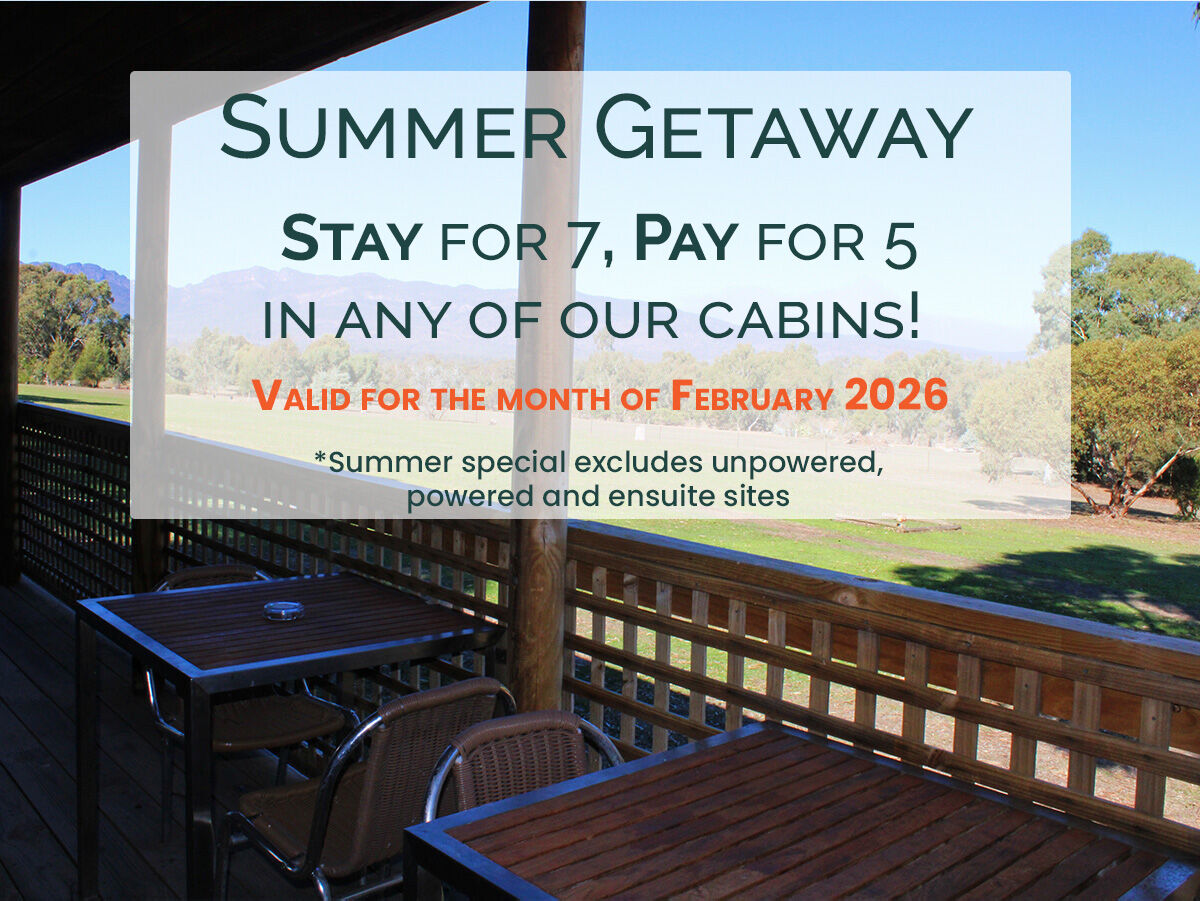 Summer Stay   Stay for 7 Pay for 5   All Cabins