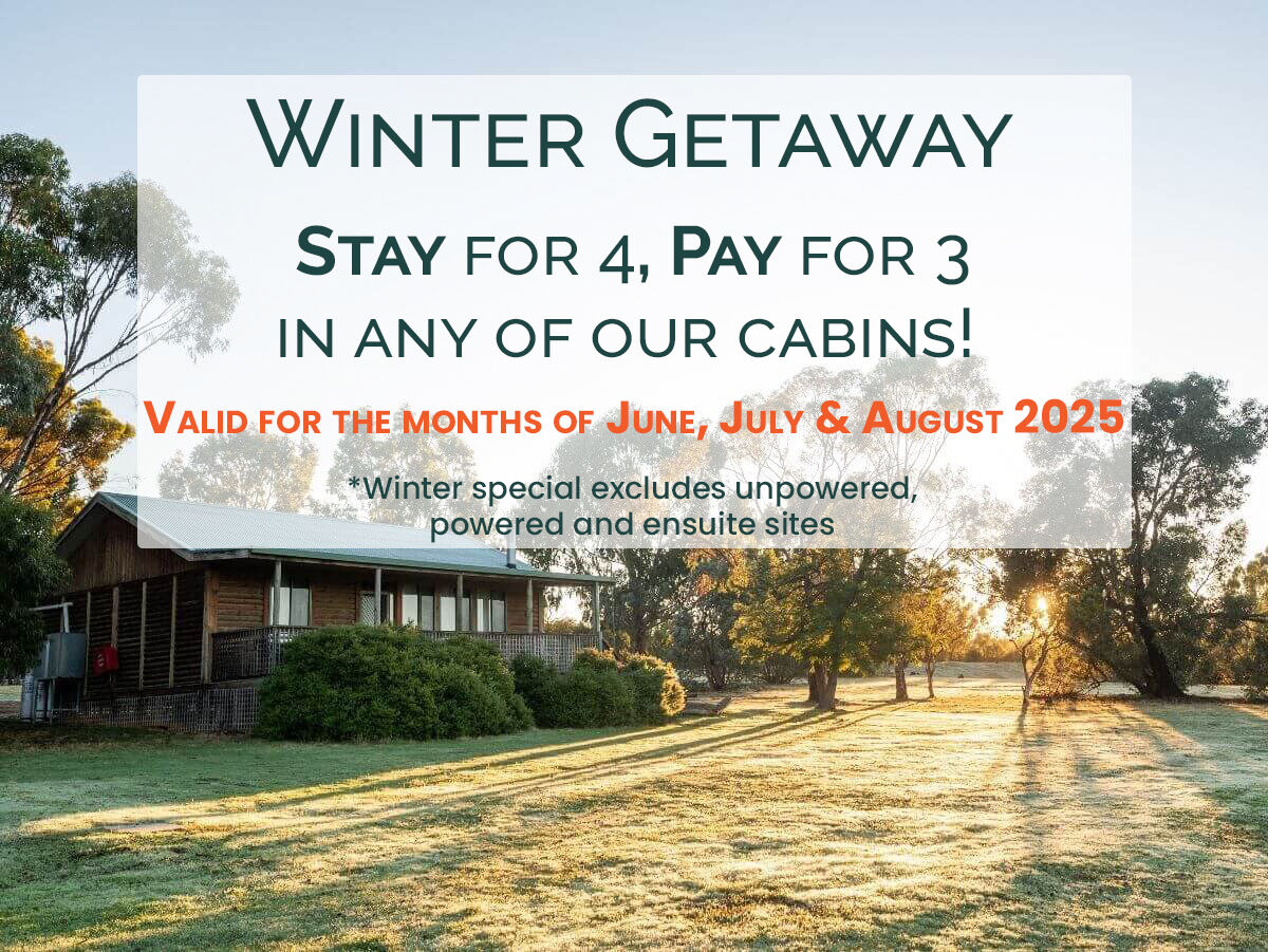 Winter Stay   Stay for 4 Pay for 3   All Cabins