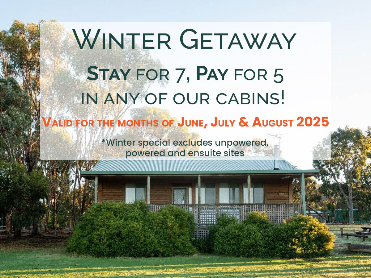 Winter Stay   Stay for 7 Pay for 5   All Cabins