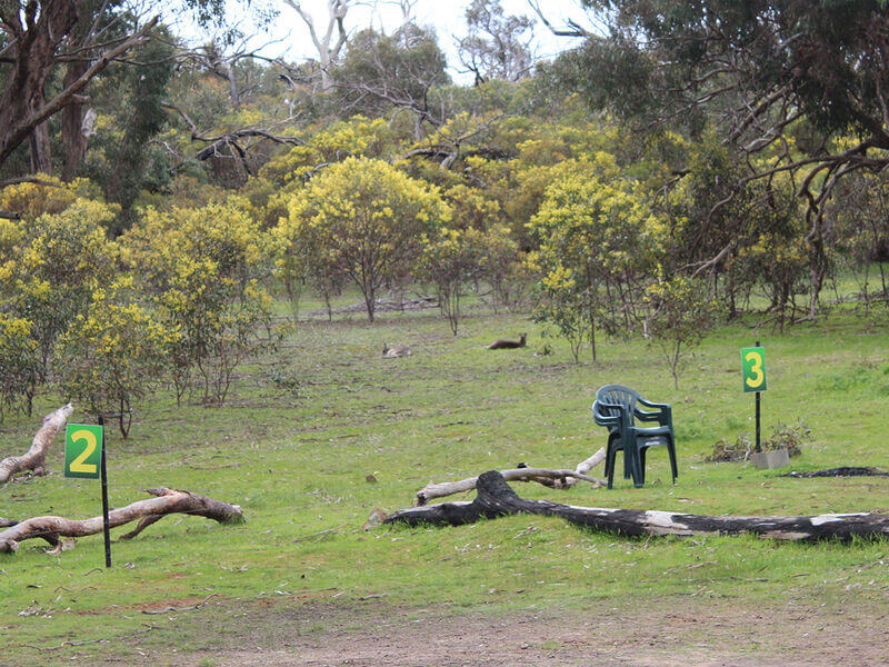 Unpowered Camp Sites with Views