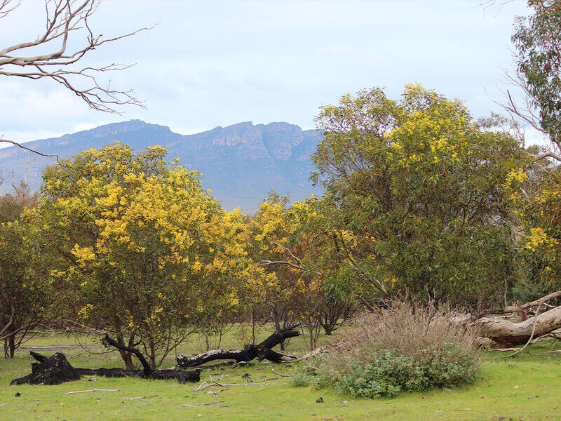 Unpowered Camp Sites with Views   Accommodates 1 to 6 people